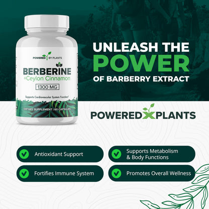 POWERED X PLANTS Berberine 1300mg with Ceylon Cinnamon – Metabolism & Immune Support (2 Pack, 120 Servings)