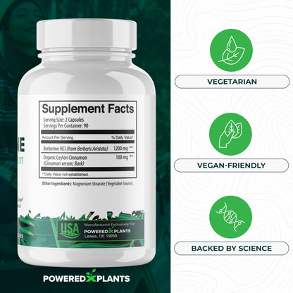 POWERED X PLANTS Berberine 1300mg with Ceylon Cinnamon – Metabolism & Immune Support (2 Pack, 120 Servings)