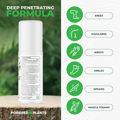 Powered X Plants Hemp Oil Roll On – Menthol, Boswellia & Arnica | 12,000mg Extra Strength