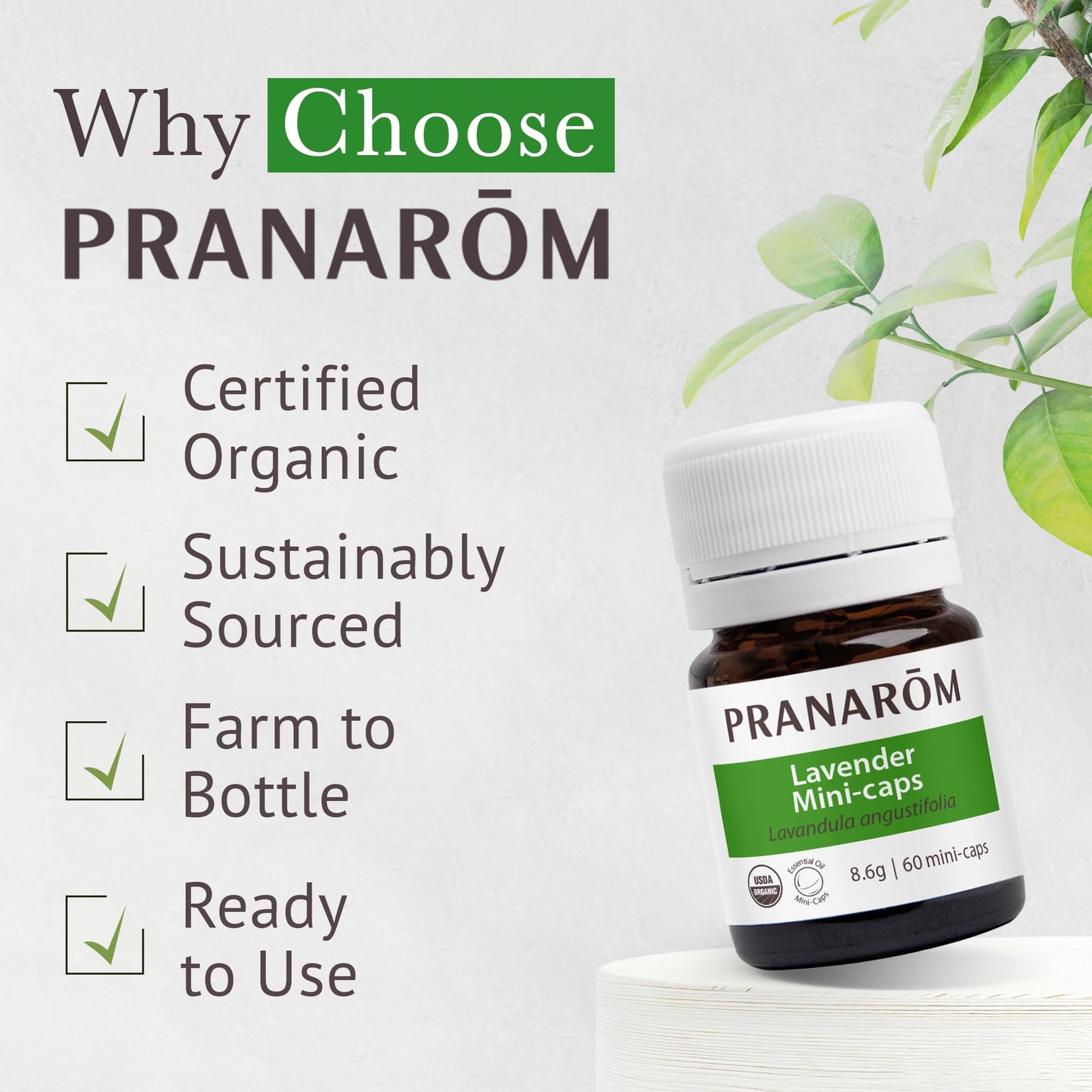 Pranarom Aromaforce Lavender Mini-Caps 60ct – Restful Sleep & Relaxation (Organic Lavender Oil)
