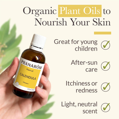 Pranarom Organic Calendula Oil 4 Pack – 2 fl oz Glass Bottle | Gentle for Sensitive Skin