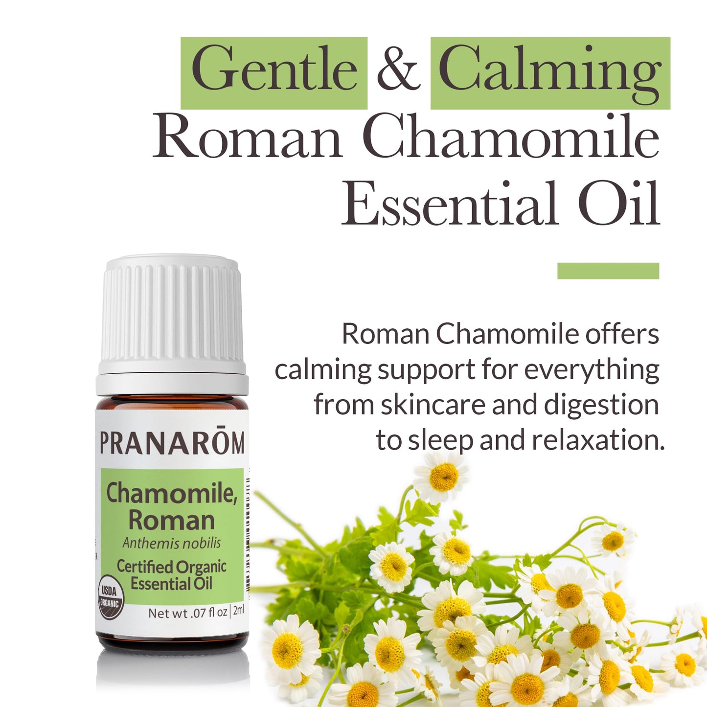 Pranarom Chamomile Roman Essential Oil 2ml – Organic Calming Diffuser Therapy