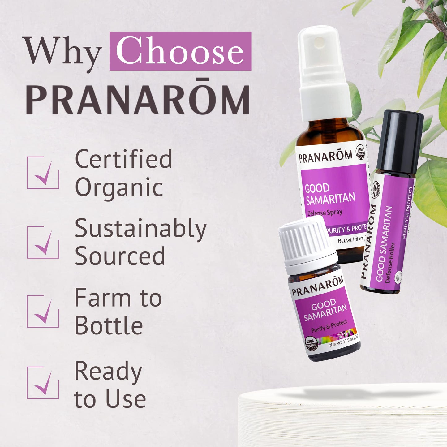 Pranarom Good Samaritan Purify & Protect Essential Oil Blend Kit (3pk) – 100% Pure, Organic (USDA & ECOCERT)