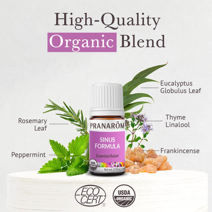 Pranarom - Sinus Formula Essential Oil Blend (5ml) - Olive Oil, Eucalypts, Peppermint, Rosemary, Frankincense, & Thyme - 100% Pure Essential Oil for Topical Use | USDA and ECOCERT Certified Organic