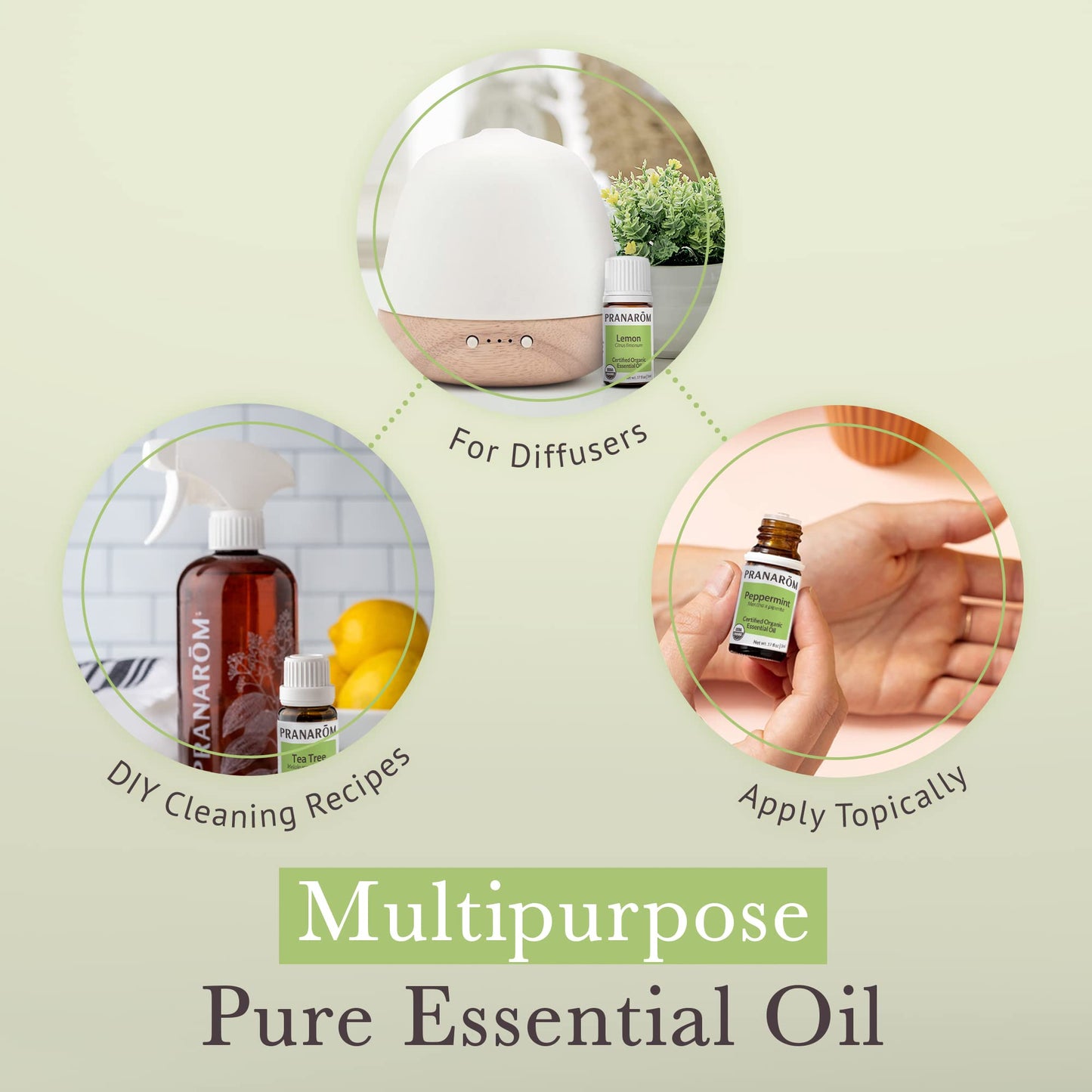 Pranarom Top 5 Essential Oil Kit (5-Pack) - Lavender, Peppermint, Tea Tree, Eucalyptus, Lemongrass - 100% Pure Organic Oil (USDA & ECOCERT)