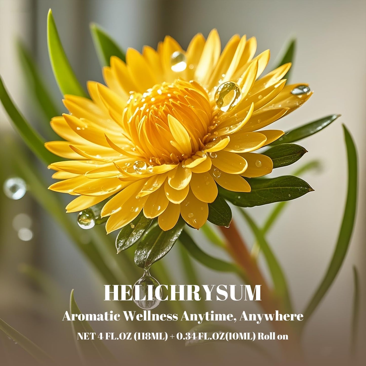 Helichrysum Essential Oil Set: 4 oz Bottle + 0.34 oz Roll-On