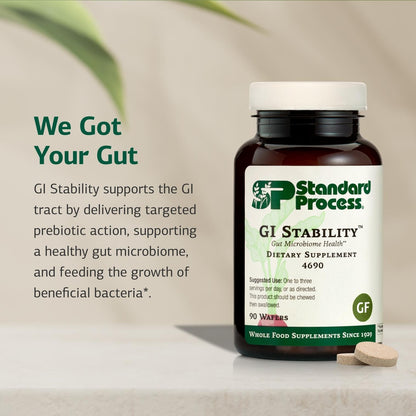 GI Stability – Gut Microbiome Health Prebiotic Supplement | Standard Process | 90 Wafers (45 Servings)