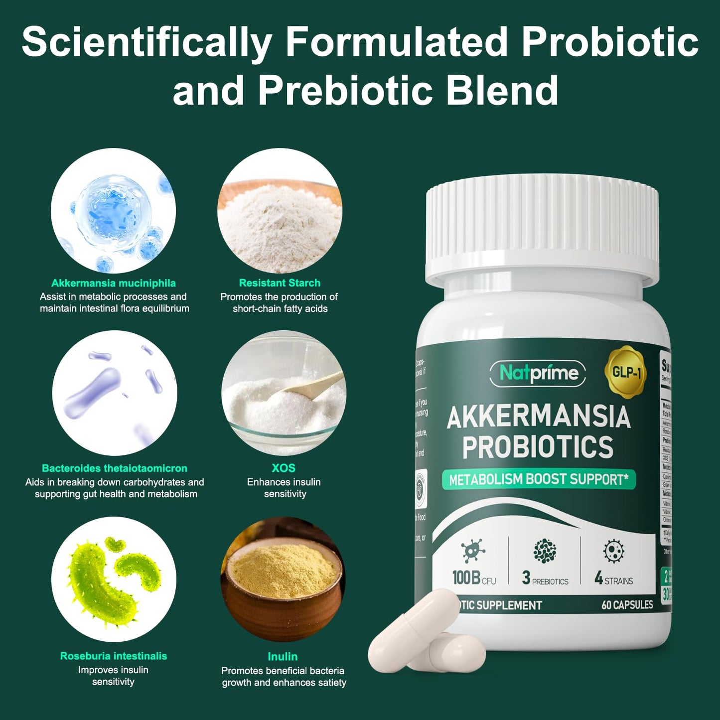 Natprime Akkermansia Probiotic GLP-1 Supplement – 100B CFU Akkermansia Muciniphila, Prebiotic Fiber, Metabolism & Gut Health | 60 Capsules