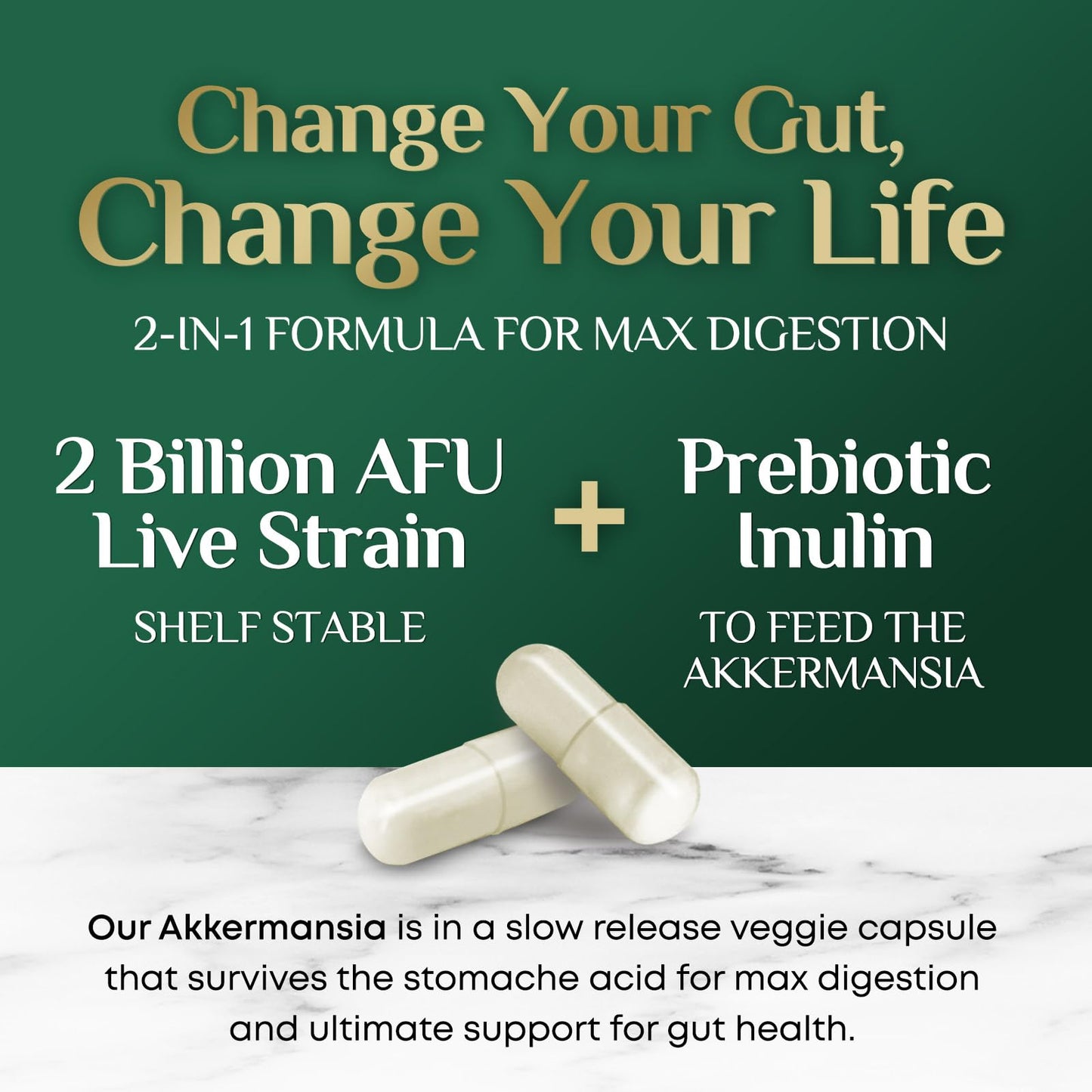 Akkermansia Probiotic 2B AFU | GLP-1 Support - 60 Capsules