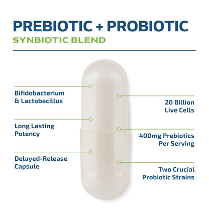 Prebiotics & Probiotics for Women & Men — Synbiotic 20B CFU | 60 Count | Vegetarian