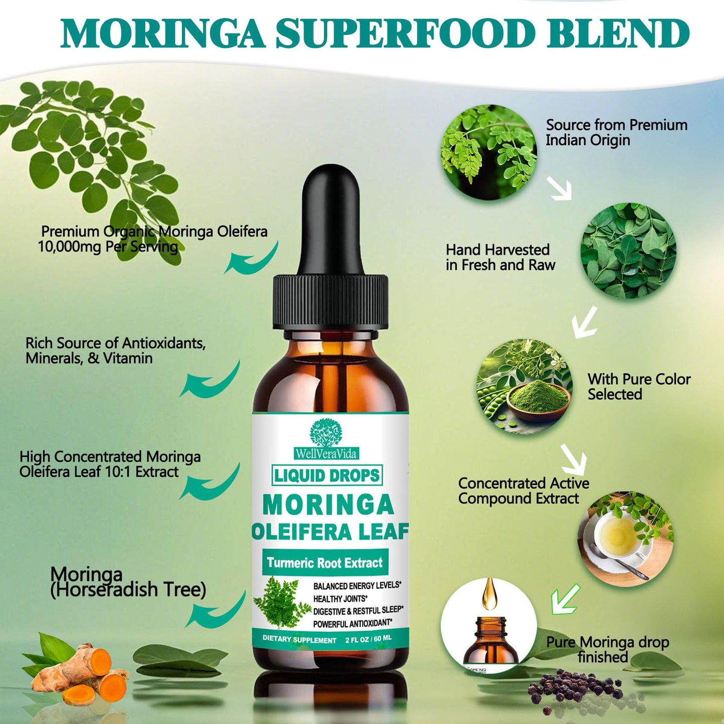 Organic Moringa Liquid Drops with Turmeric, Black Pepper & Vitamin C | Moringa Oleifera
