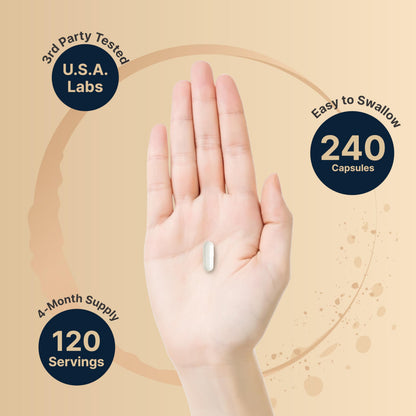 Pregnenolone 100mg – 240 Capsules | 99% Purity, Micronized, Plant-Based