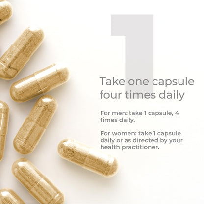 Premier DHEA 25mg for Men & Women – 60 Vegan Capsules | Premier Research Labs