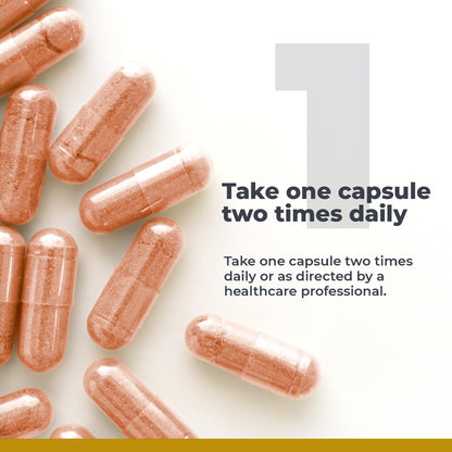 Premier NAC Supplement | N-Acetyl Cysteine 300mg | Liver & Immune Support | 60 Veggie Capsules | Premier Research Labs