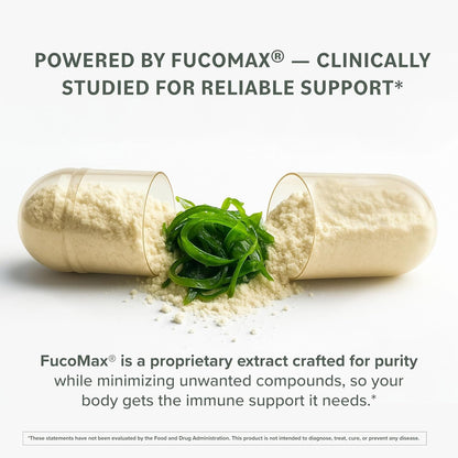 Prominent Nutrition Fucoidan – Gut Health & Immune Support, 250mg, 60 Count | Premium Brown Seaweed Extract