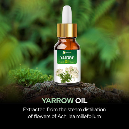 Yarrow Essential Oil (Achillea millefolium) – Pure & Natural, Therapeutic Grade for Aromatherapy