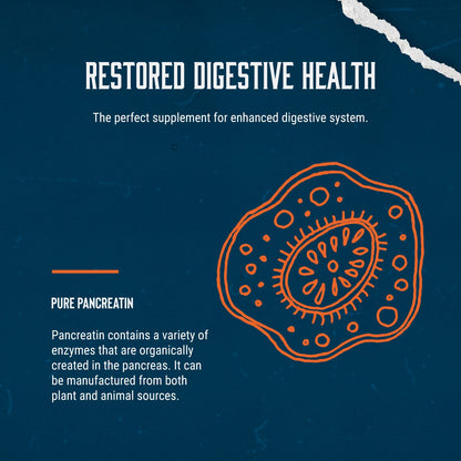 Digestive Enzyme Supplements for Gut Health - Pancreatin Digestive Enzymes for Digestion Upset Stomach Relief and Leaky Gut Repair - Pure Enzymes Digestion Supplement Women and Men