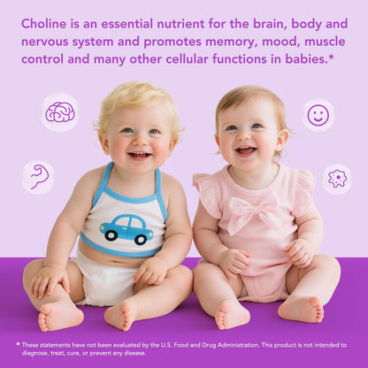 Premom Prenatal Choline Bitartrate 550mg – 60 Capsules | Prenatal Brain Support