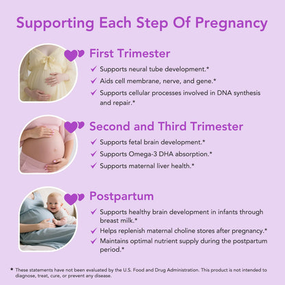 Premom Prenatal Choline Bitartrate 550mg – 60 Capsules | Prenatal Brain Support