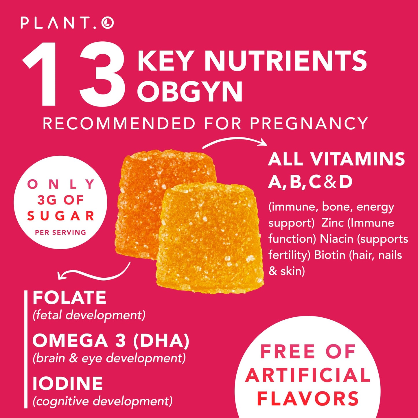 Prenatal Gummies for Women with DHA, Folate, Vitamin B & D | Fetal & Neural Support