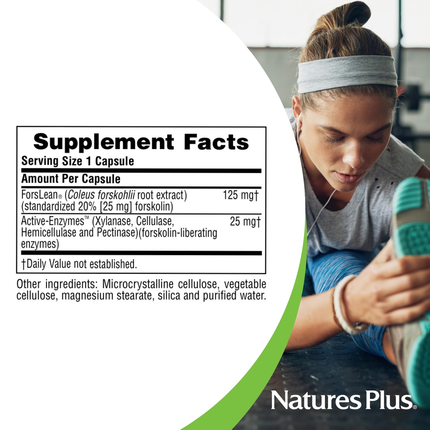 NaturesPlus Herbal Actives Coleus Forskohlii - 60 Vegetarian Capsules - Gluten Free - 60 Servings