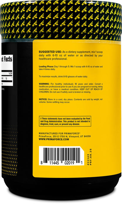 Primaforce Micronized Creatine Monohydrate Powder 500 g (1.1 lb)