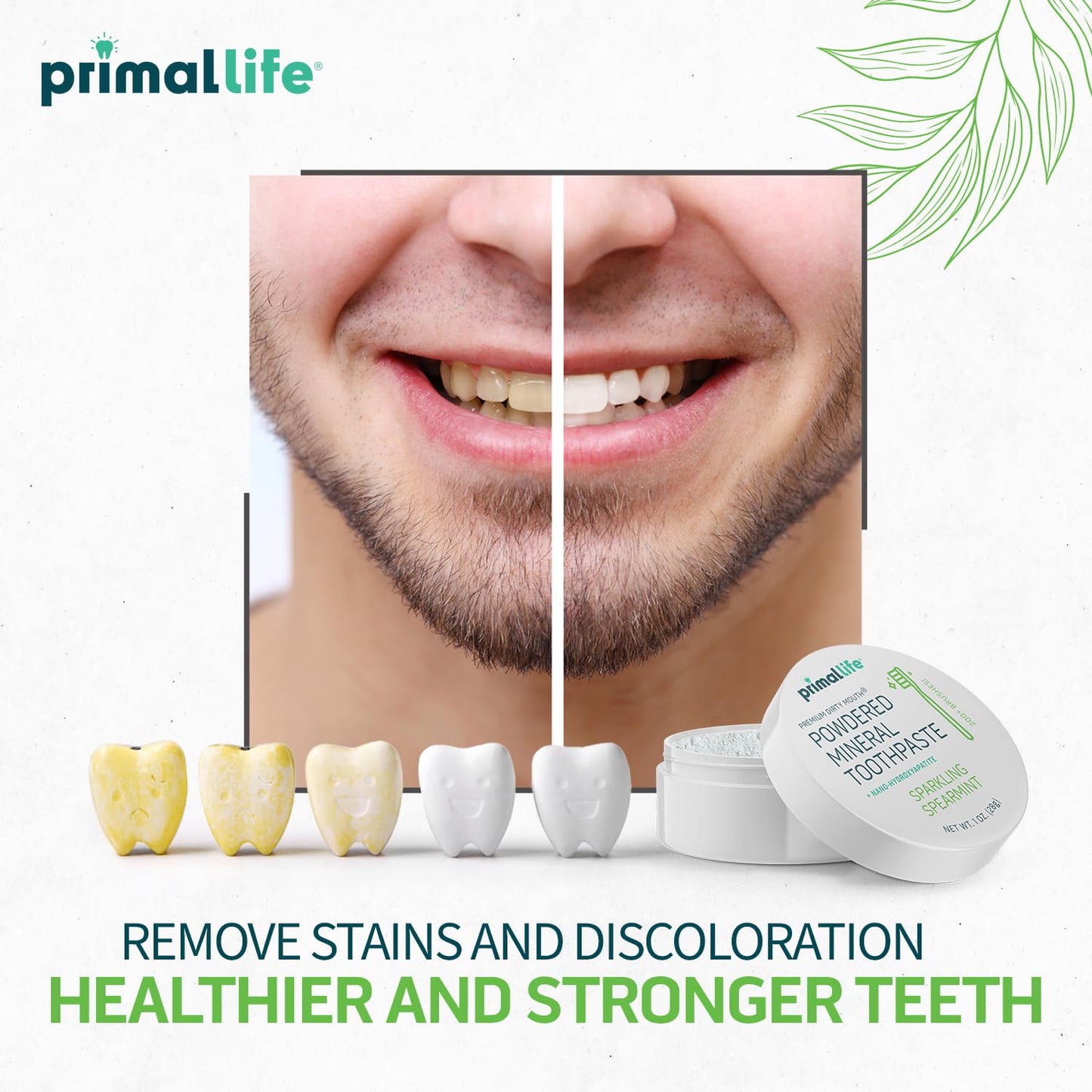 Primal Life Organics Dirty Mouth Toothpowder - Spearmint, 1 oz | 200+ Brushings, Paleo, Organic, Vegan
