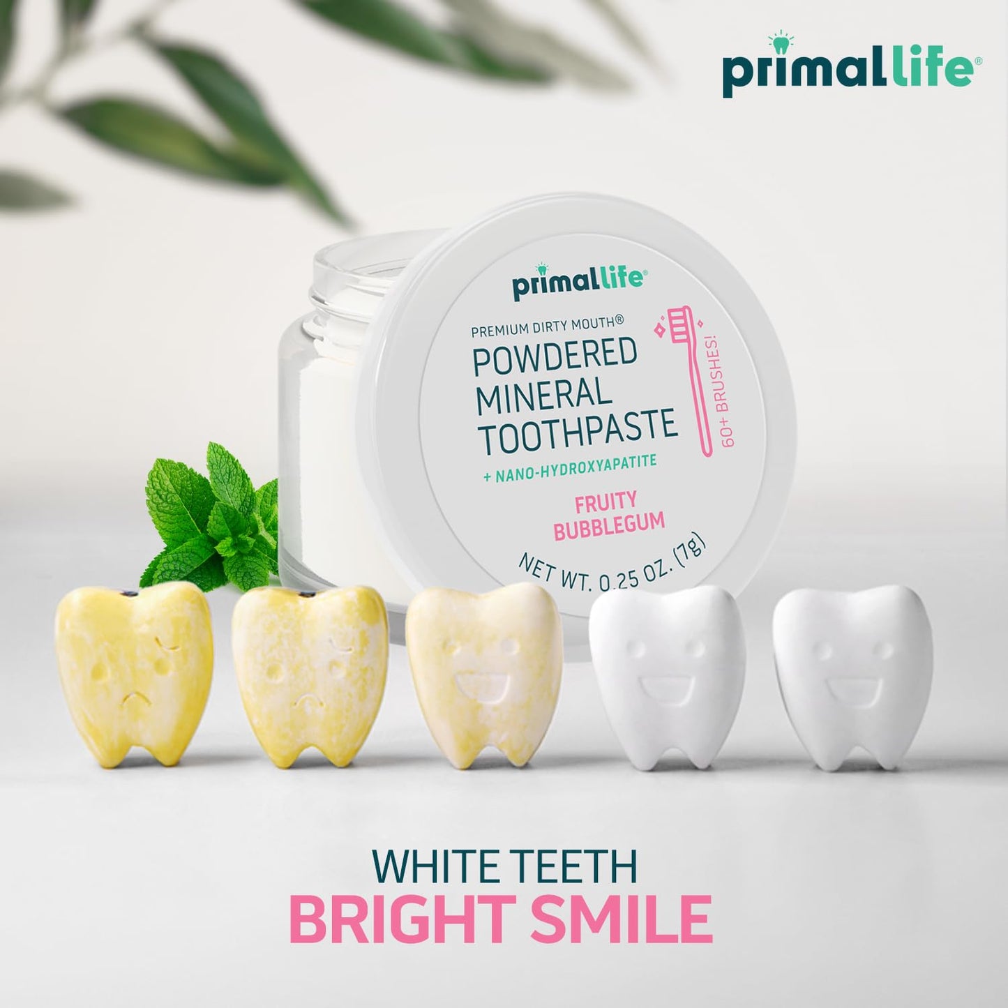 Primal Life Organics Dirty Mouth Toothpowder – Organic Vegan Kaolin & Bentonite Clays, Sweet Bubblegum Flavor (0.25 oz)