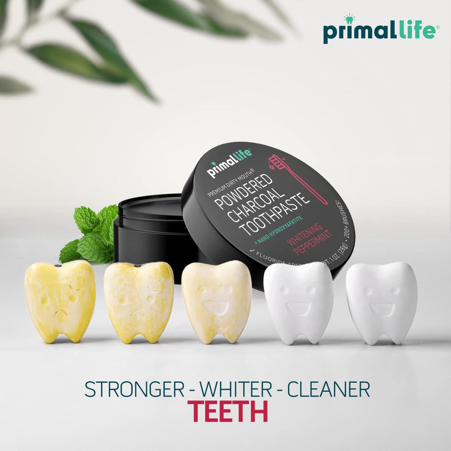 Primal Life Organics Dirty Mouth Toothpowder – Activated Charcoal with Kaolin & Bentonite Clay, Organic, Vegan, 1 oz (Black Peppermint) | 200+ Brushings