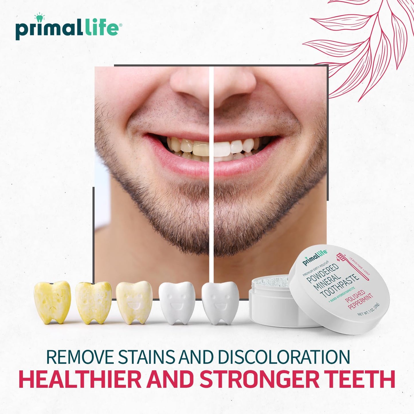 Primal Life Organics Dirty Mouth Toothpowder - Organic, Vegan, Peppermint