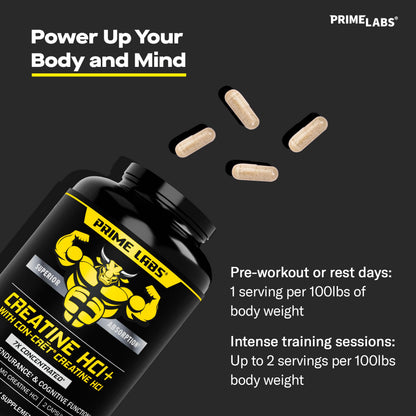 Prime Labs Creatine HCl Capsules – CON-CRĒT, Rhodiola Root Extract & L-Theanine | Muscle Support, Endurance & Cognitive Function – For Men & Women – 60 Pills