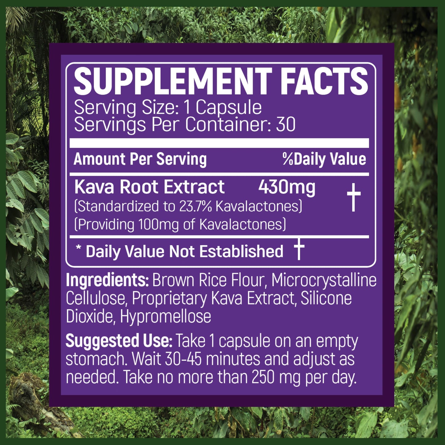 PRIMO KAVA Kava Capsules – Authentic Fiji Kava | 100mg Kavalactones | 30 Count