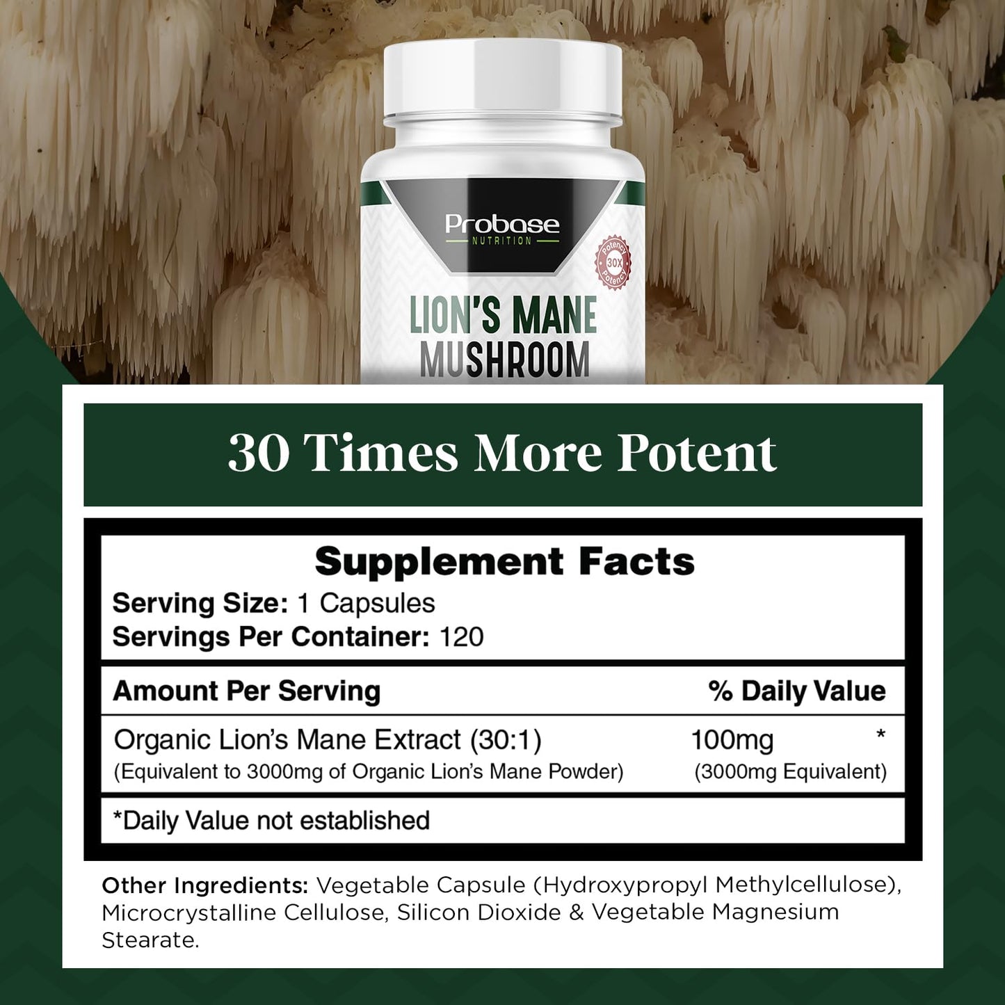 Probase Nutrition Lions Mane Cognition – 30x Potency, 4-Month Supply