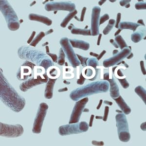 PROBIOTIC-C Jelly Sticks - Bifidobacterium & Vitamin C | Non-GMO, Gluten Free, Vegan