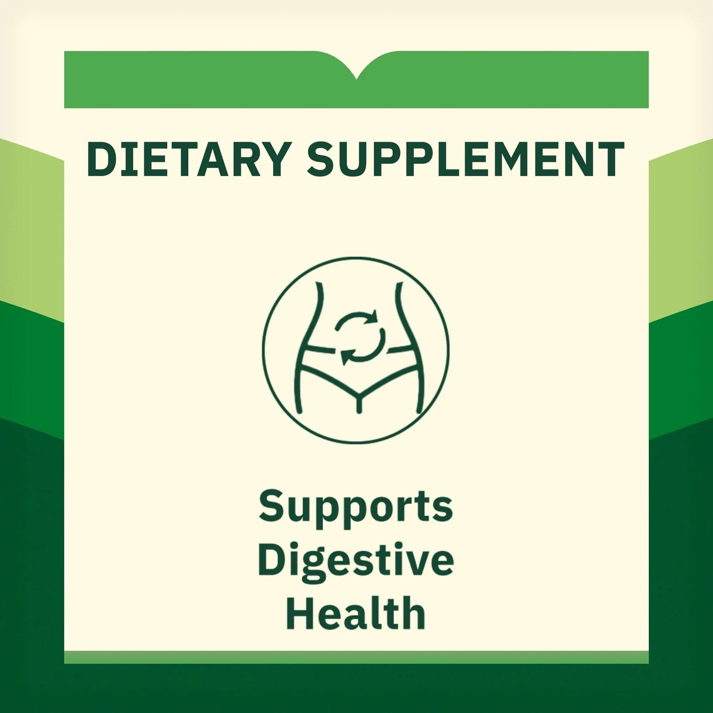 Probiotic Multi-Enzyme Digestive Formula Tablets – 200 Count | Supports Digestion & Gut Health
