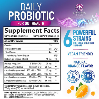 Probiotic Gummies 5 Billion CFU – Digestive Health & Immune Support – Orange Flavor (120 Count)