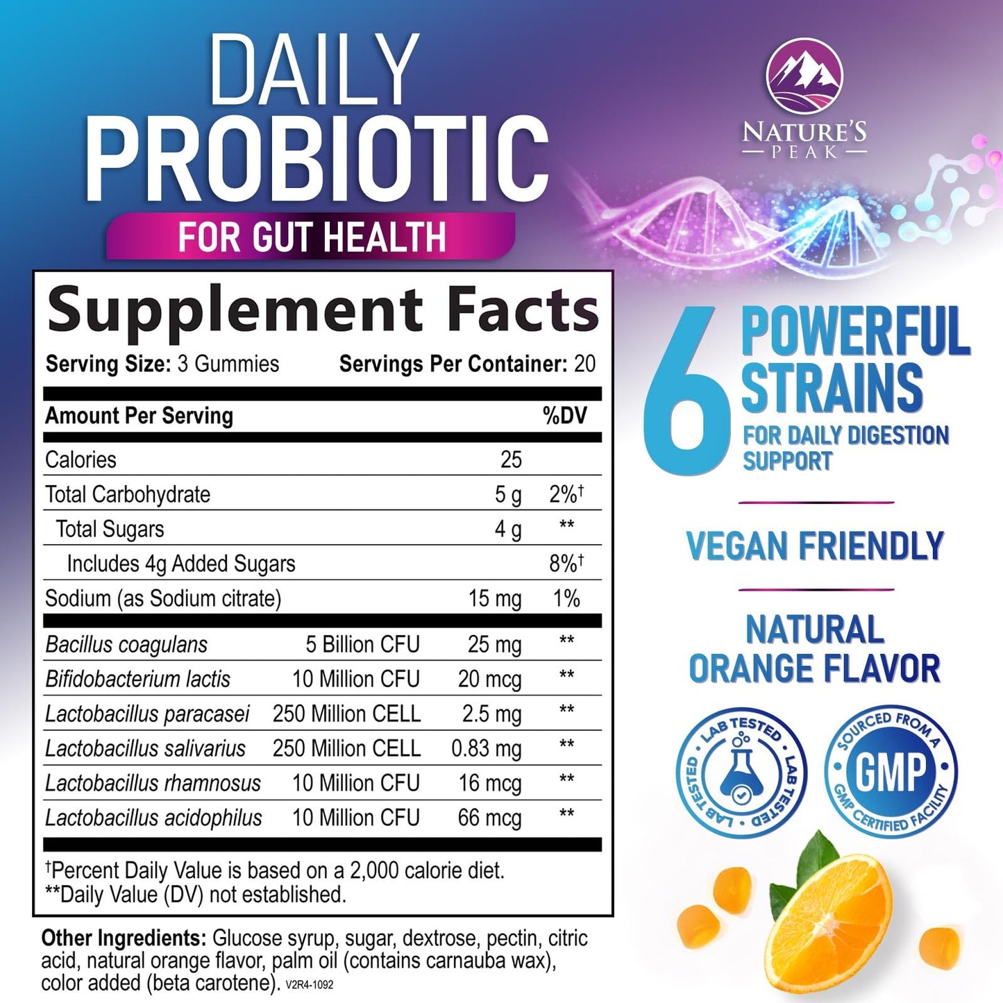 Probiotic Gummies 5 Billion CFU - 60 Count Orange Flavor | Digestive Health & Immune Support