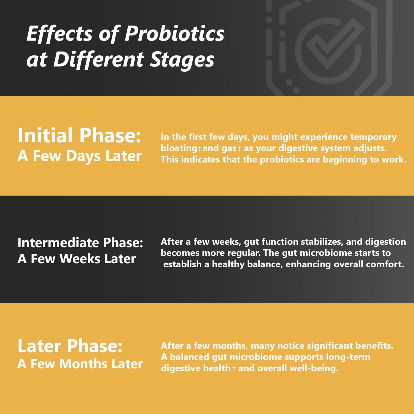 Probiotics with Prebiotics – 100B CFU, 35 Strains, Organic & Vegan (60 capsules)