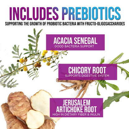 Probiotics 100 Billion CFU – 10 Strains & Prebiotics for Digestive Health & Immunity