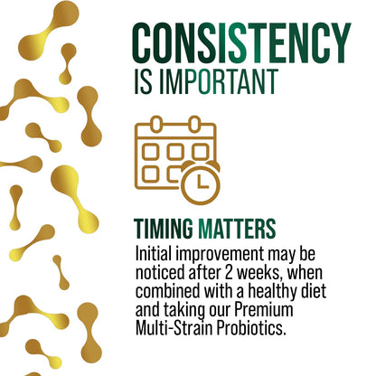 Probiotics 100 Billion CFU - 16 Strains + Prebiotics | 120 Capsules