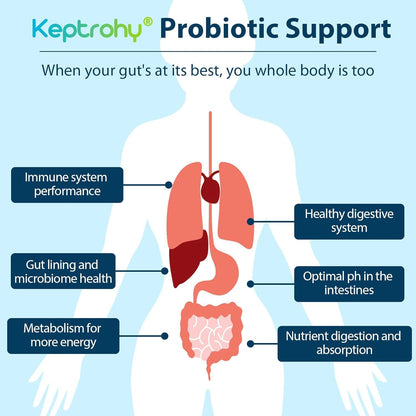 Probiotics for Women & Men – 300 Billion CFU from 12 Strains + Organic Prebiotics | 180 Capsules