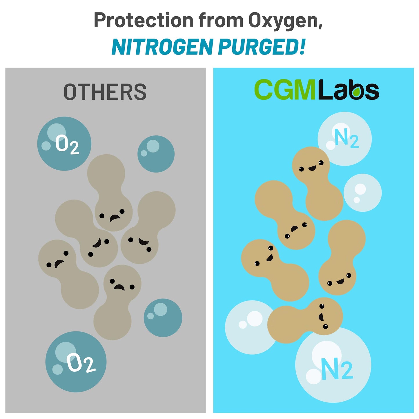 Probiotics 3 in 1: Prebiotics + Probiotics + Postbiotics | 60 Veg Caps | CGM Labs