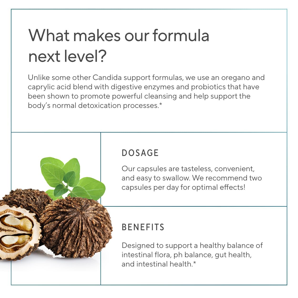 Premium Candida Cleanse Supplement – Oregano, Caprylic Acid, Black Walnut & Probiotics | 60 Candi Support Capsules