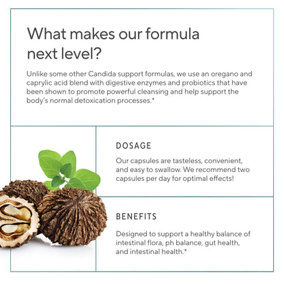 Premium Candida Cleanse Supplement – Oregano, Caprylic Acid, Black Walnut & Probiotics | 60 Candi Support Capsules