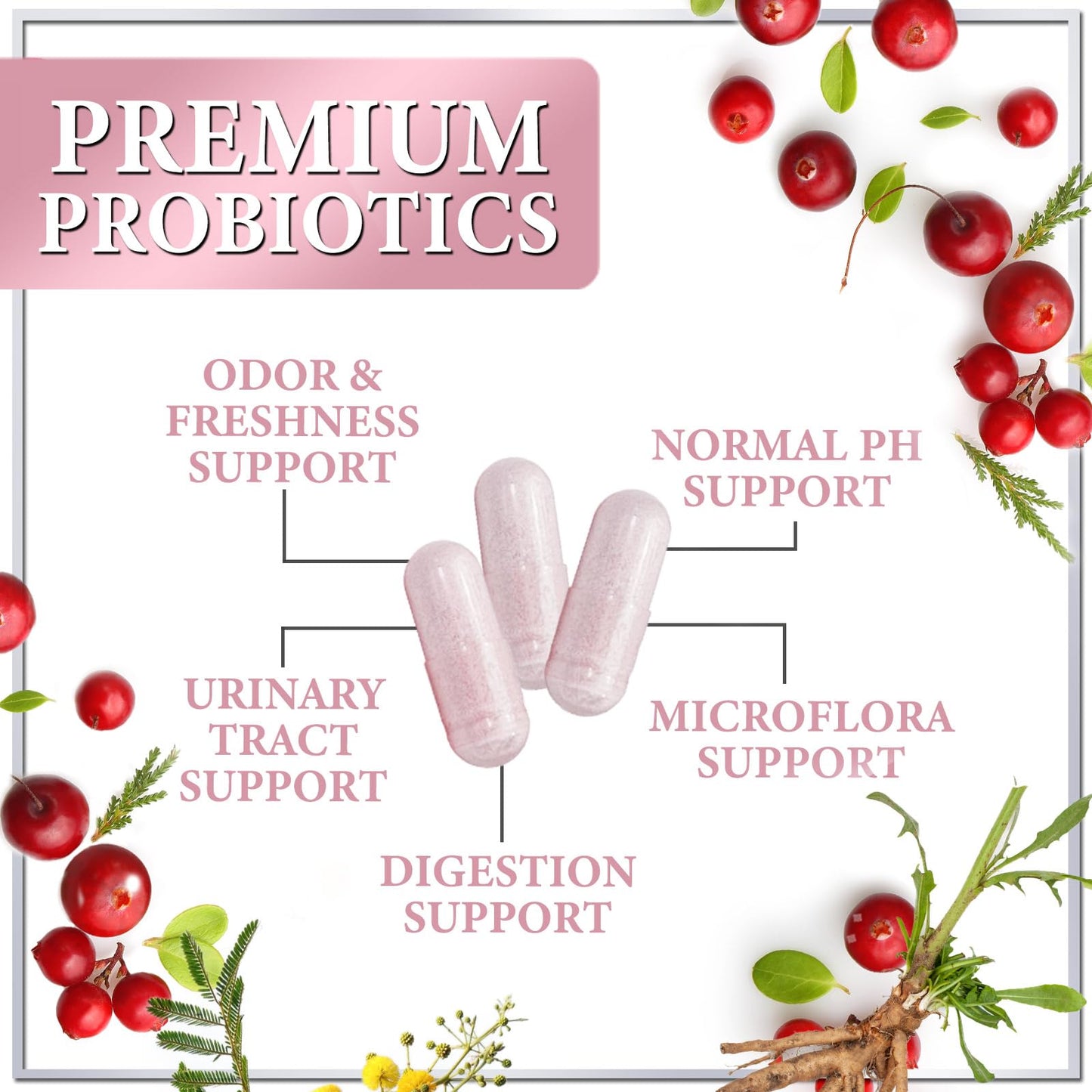 Probiotics for Women Digestive Health Support - 90 Billion CFU Women's Probiotic, 16 Strains, Cranberry, Vaginal Probiotic with Prebiotics, PH, Immune, Urinary, & Feminine Health Support, 120 Capsules