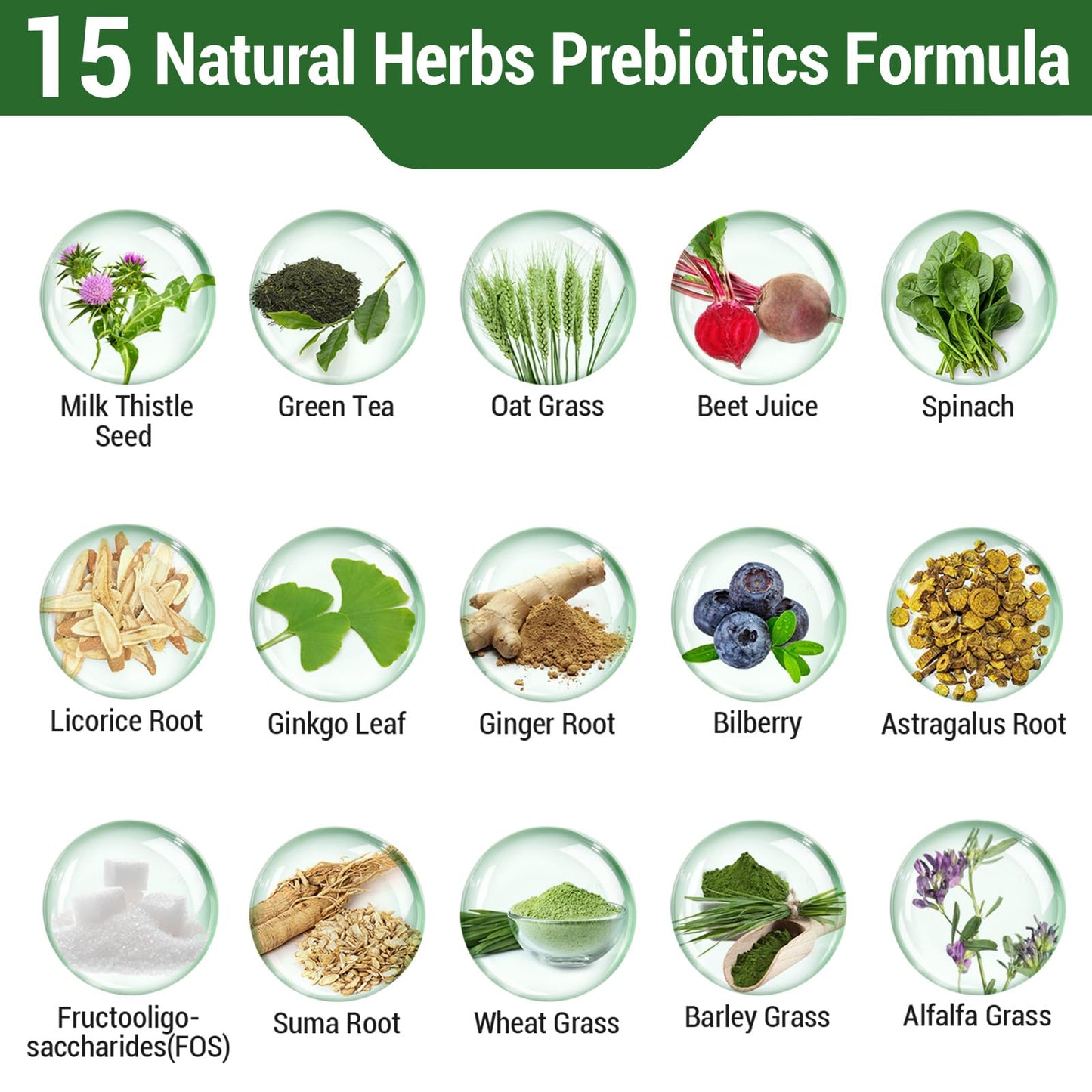 Probiotics for Women and Men | 300B CFU, 24 Strains, 15 Organic Herbs, 2 Month Supply