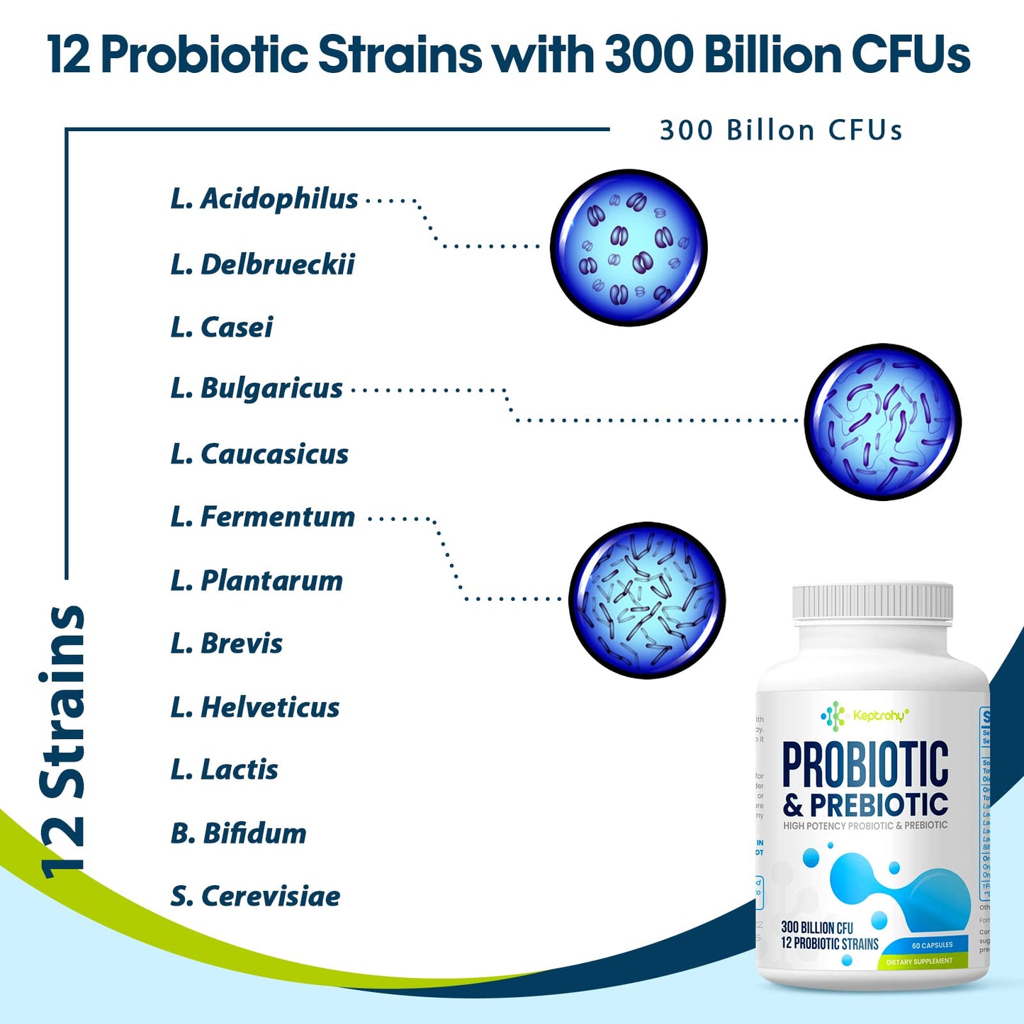 Probiotics for Women & Men – 300B CFU, 12 Strains, Organic Prebiotics | 60 Capsules