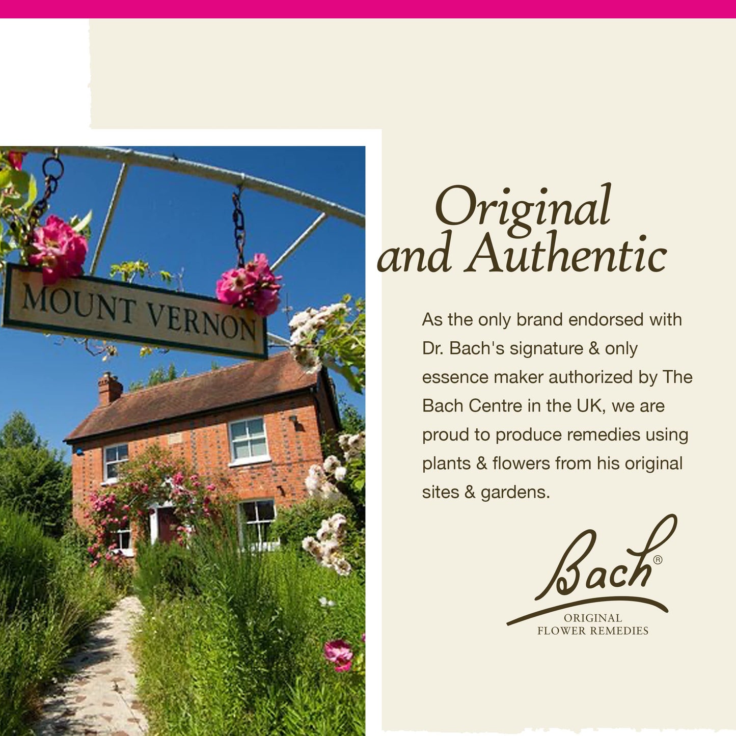 Bach Sweet Chestnut Flower Remedy – Be Optimistic (20mL) – Vegan & Gluten Free