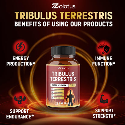 Tribulus Terrestris Capsules with Ashwagandha, Panax Ginseng, Saw Palmetto, Maca, Shilajit — 90 Capsules (3-Month Supply)
