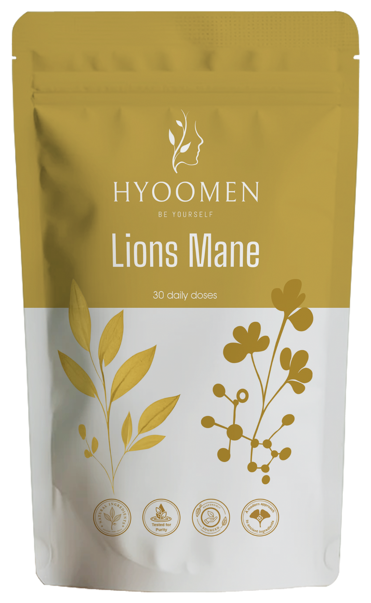 Lion's Mane Capsules 15:1 Extract 500mg Hyoomen